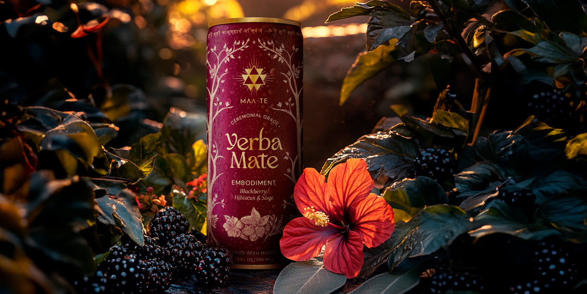 Ma2ta Rab Tea MAA • TE | Ceremonial-Grade Yerba Mate Drinks for Calm Energy